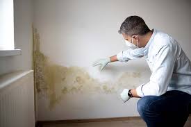 Burlingame, CA Mold Inspection Company